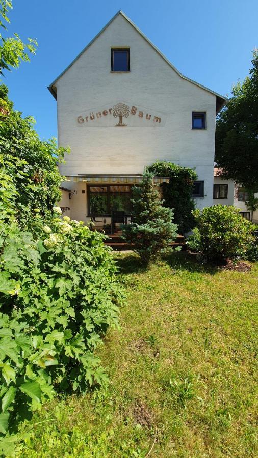 Gasthof Gruener Baum Kirchberg am Wechsel Buitenkant foto