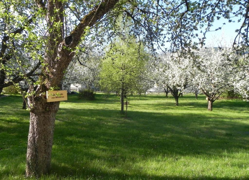 Gasthof Gruener Baum Kirchberg am Wechsel Buitenkant foto