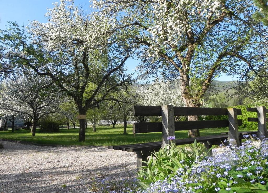 Gasthof Gruener Baum Kirchberg am Wechsel Buitenkant foto